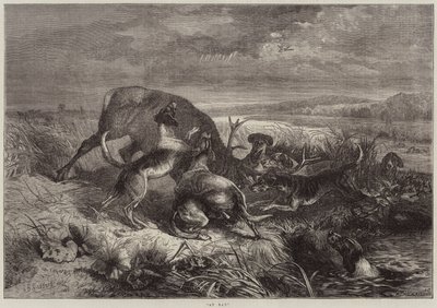 In het nauw door George Bouverie Goddard